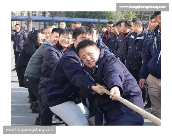 激烈角逐中的团队合作与拼搏精神在拔河比赛中的体现